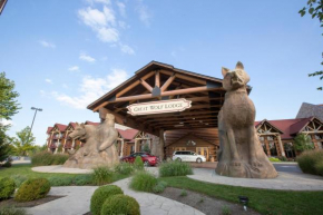 Отель Great Wolf Lodge Mason  Мейсон